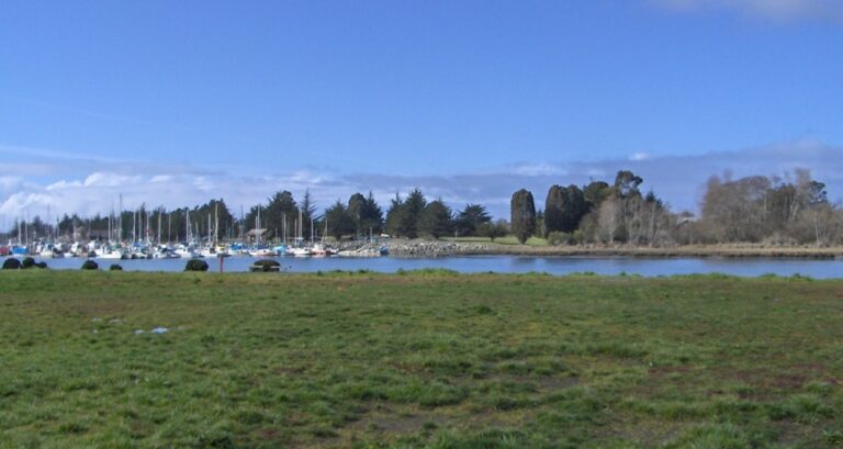 2018628 3 HalvorsenPark 2018628 768x409