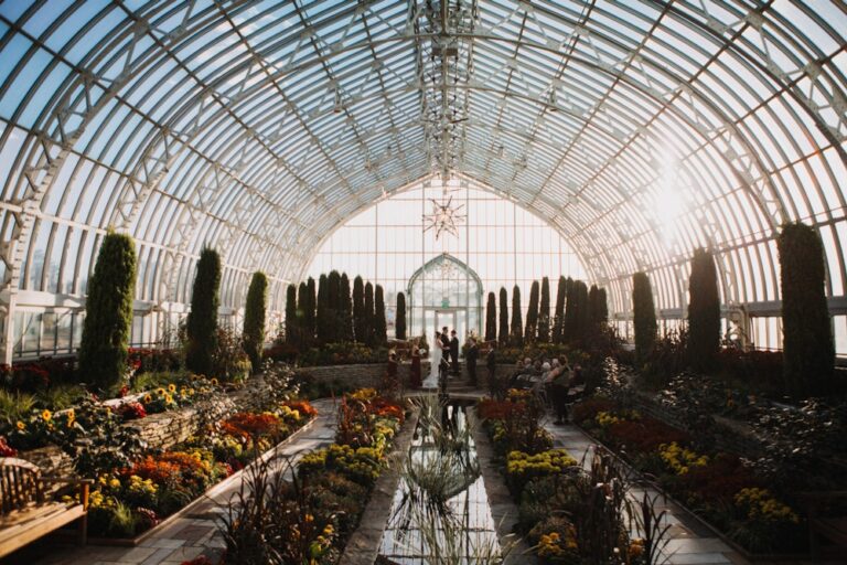 20221219ComoParkZooAndConservatory04 2022 12 19 154141 cajx 768x512