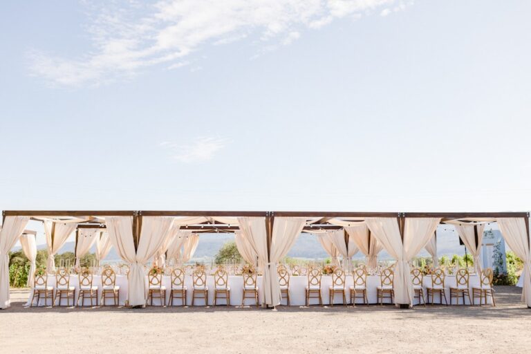 20230213MerryvaleVineyards01 768x512