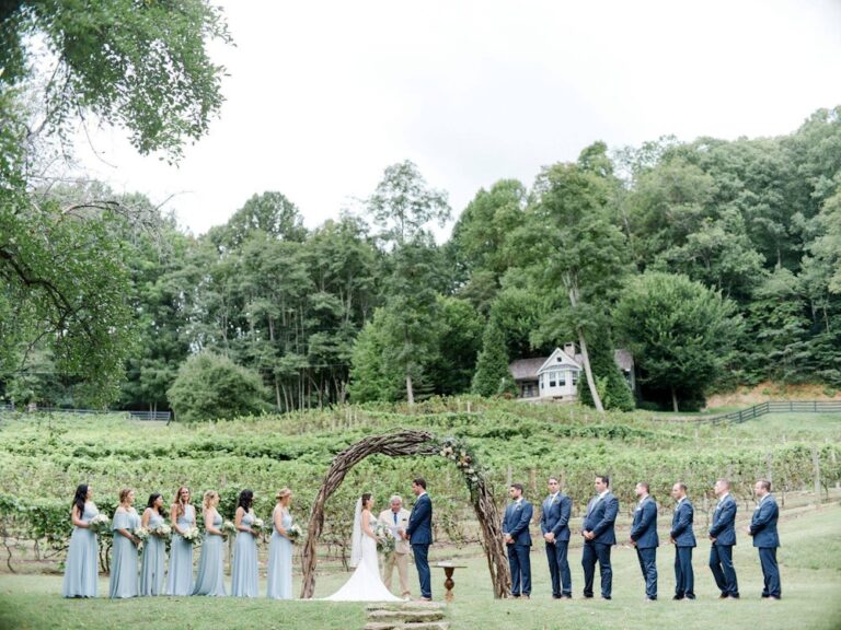 20230228VineyardAtHighHollyThe03 768x576