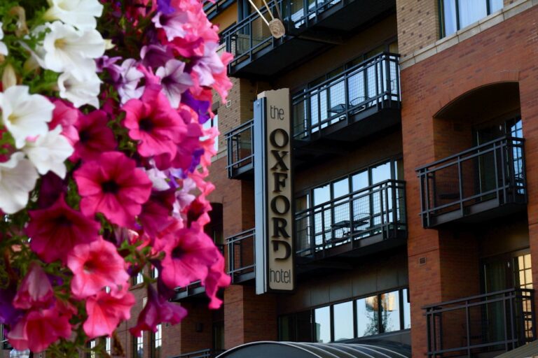 20230816OxfordHotel06 768x512