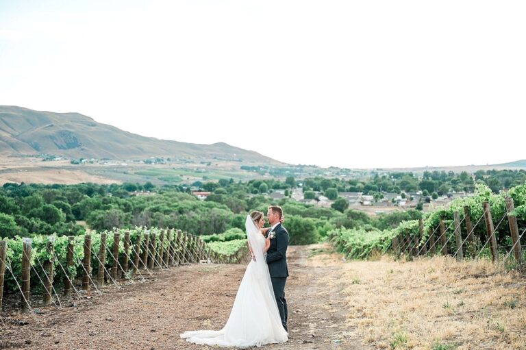 20230821TerraBlancaWineryAndEstateVineyard11 768x511