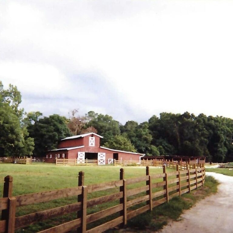 20230828TheHubAtFeatherOaks04 768x768