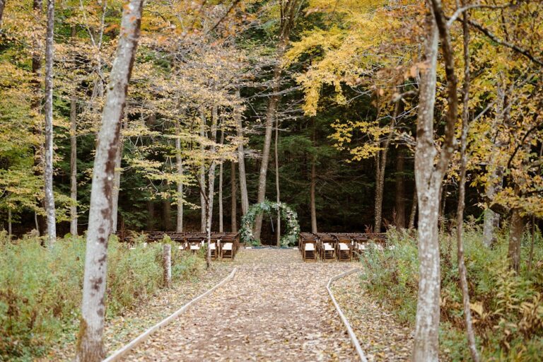 20230906 Callicoon Hills24 768x512