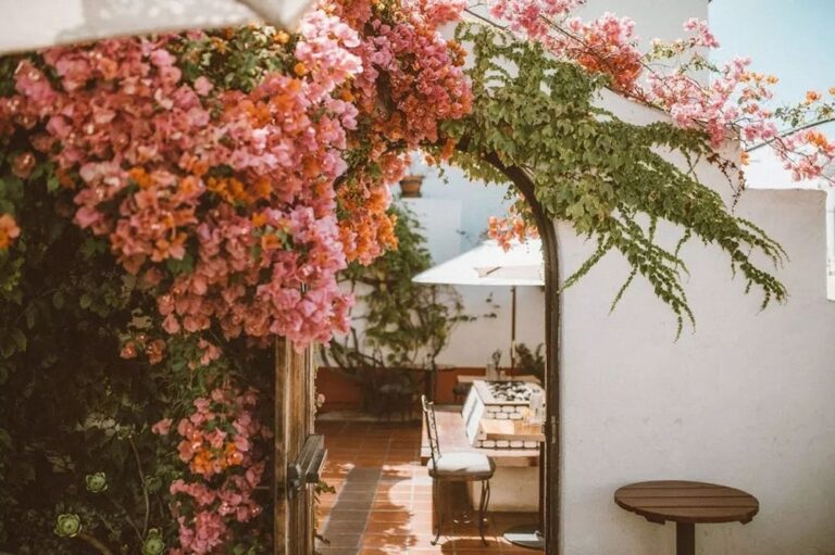 20230906Loquita04 768x511