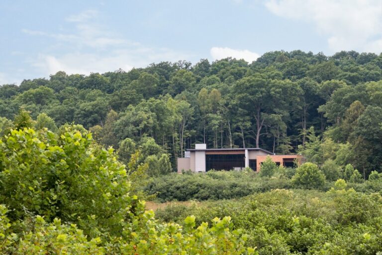 20231015TheTerraceAtTubbsRun06 768x512