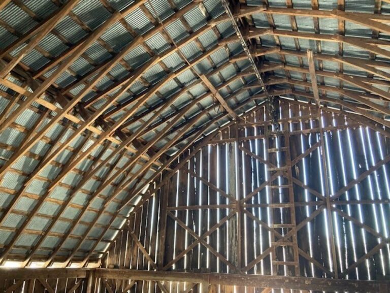 20231017RiverbendFarmAndGardens02 768x577