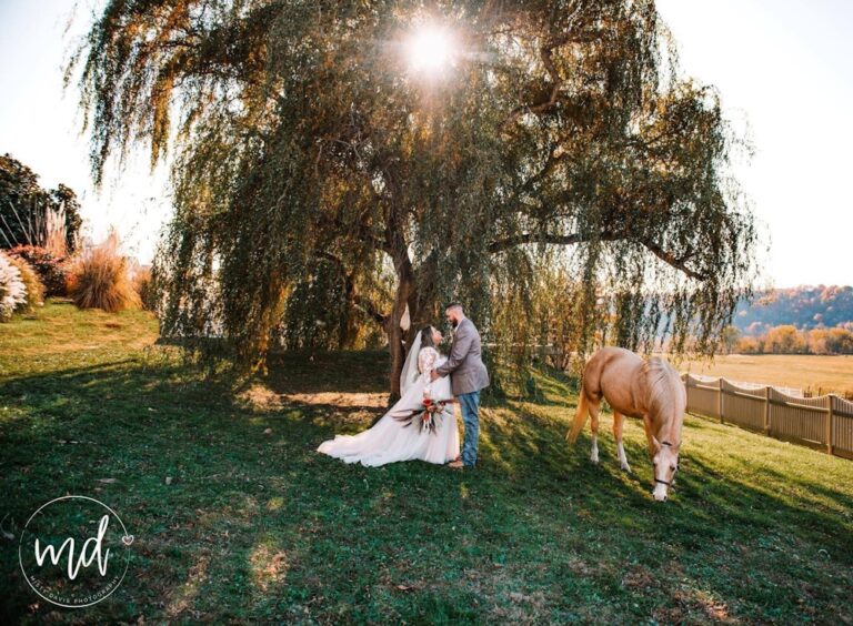 20231017TrueNorthFarmAndEvents10 768x564