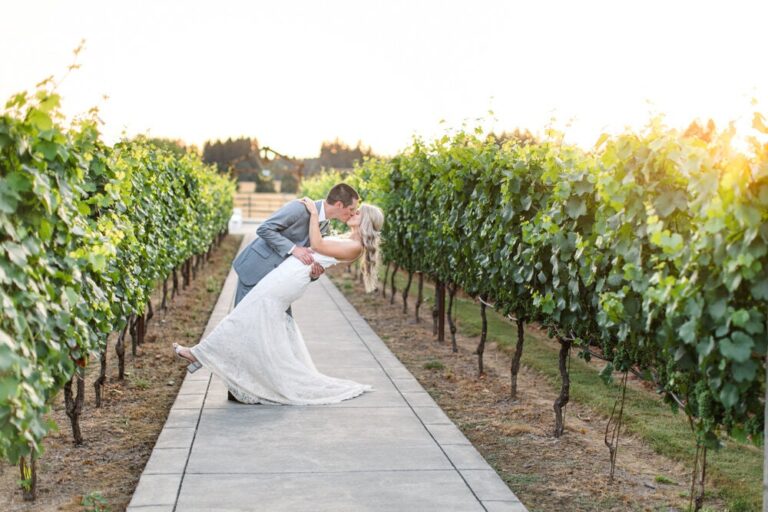 20231031JacquotVineyard03 768x512