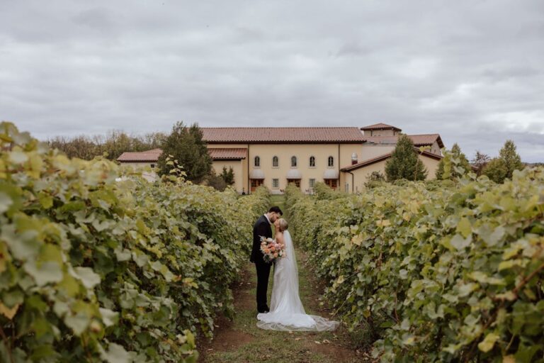 20231114VillaBellezzaWinery04 768x512