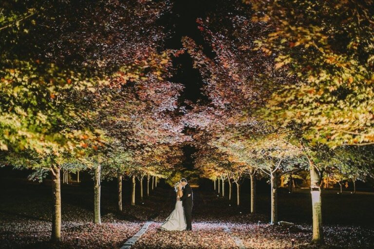 20231129PleinAir02 768x512