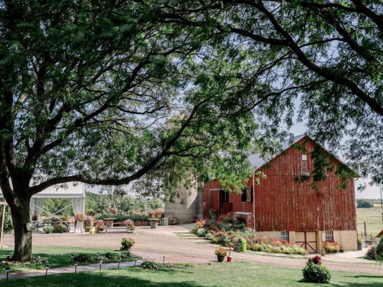 20231212OverTheVines08 768x576