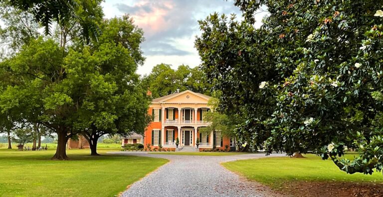 20231223Belmont1857The06 768x396