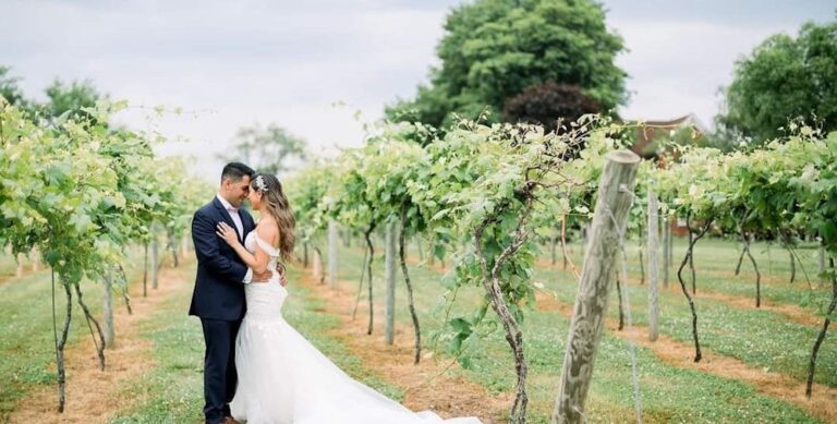 20240118FourCornersWinery09 768x389