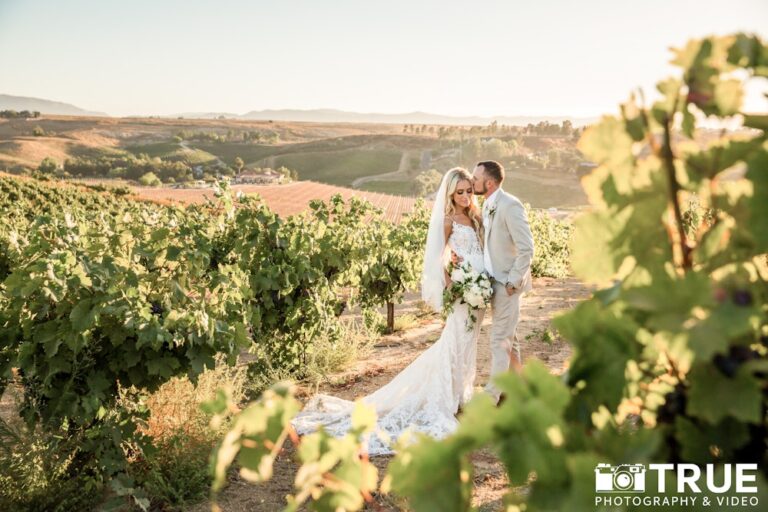 20240228VillaDeAmoreVineyardEstate23 768x512