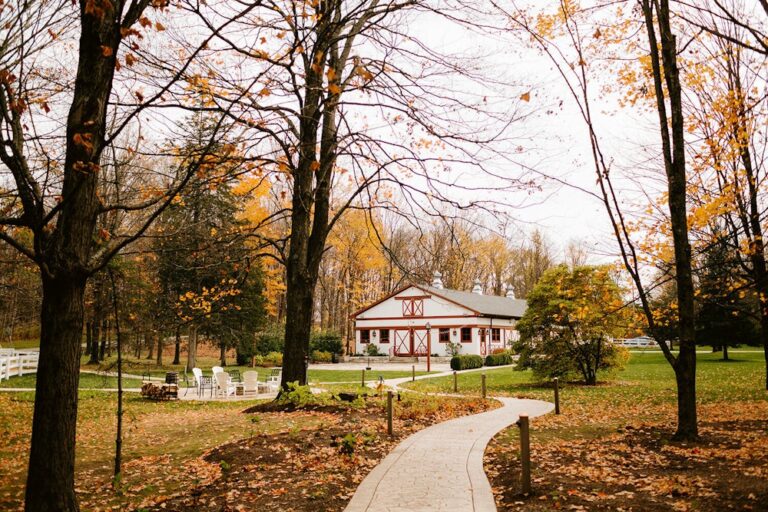 20240314PrestonBarnAtOldDroversInnThe12 768x512