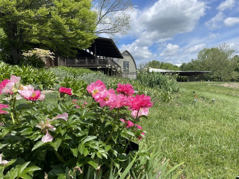 20240430YewDellBotanicalGardens01 768x576