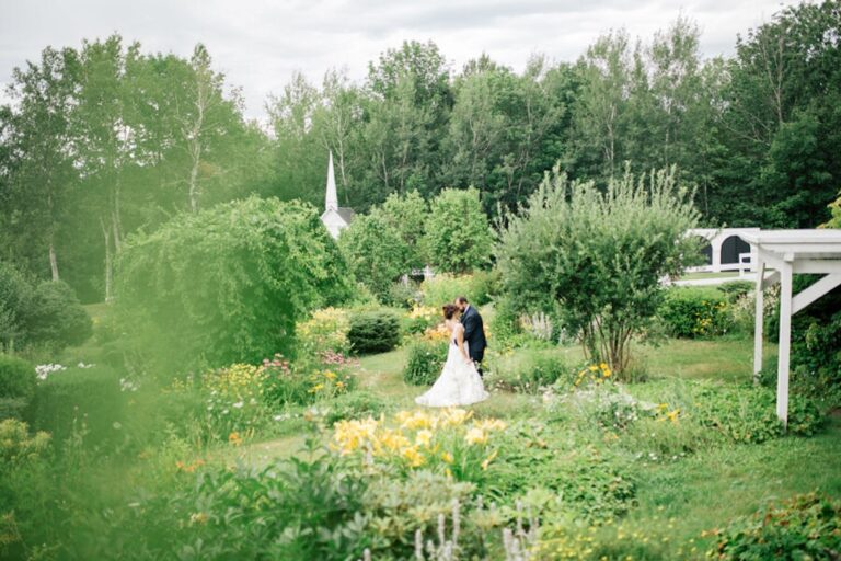 20240604KingsHillInnAndBarn03 768x512