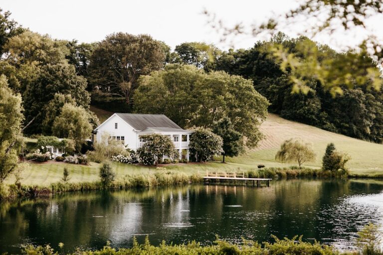 20240701MintSpringsFarm24 768x512