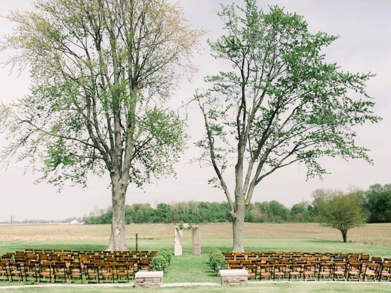 20240703BlackBirdFarm06 768x576