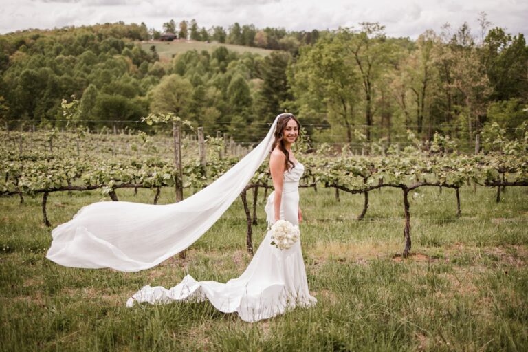 20240710TerraIncognitaVineyard10 768x512