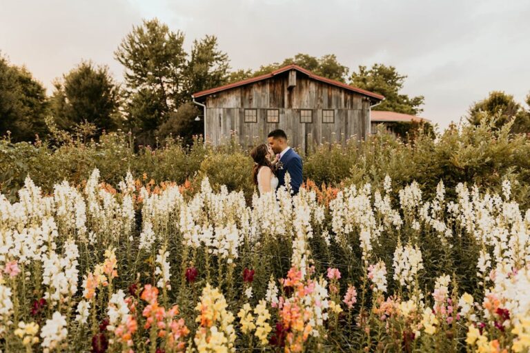 20240715TheBarnAtHighPointFarms11 768x512