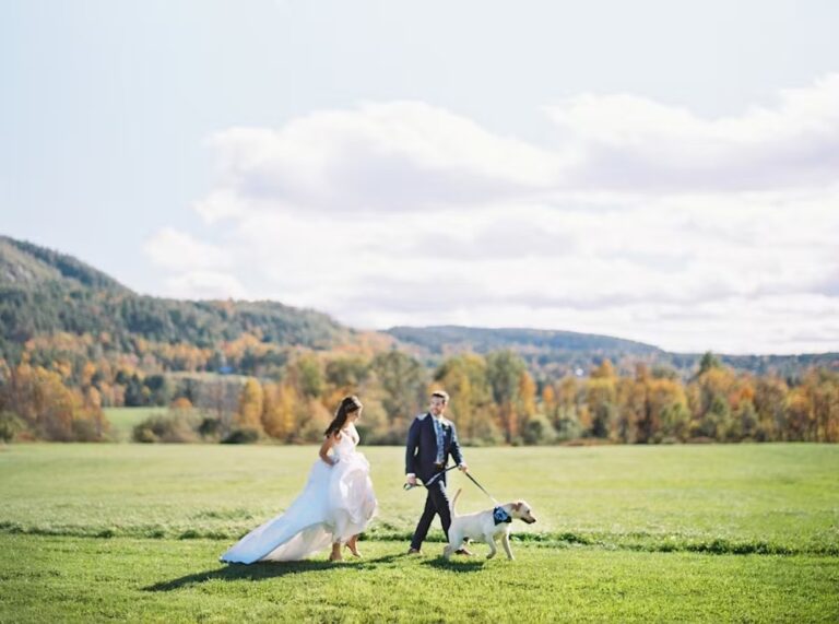 20240814BarnAtLordHoweValleyThe01 768x571