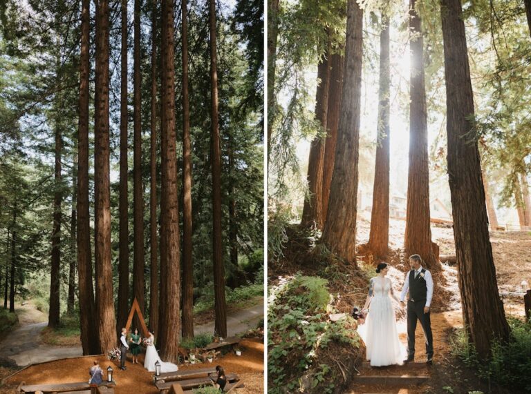 20240819SecretRedwoodRetreat07 768x571