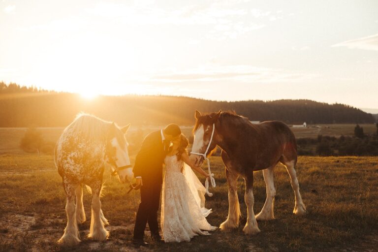 20240822ClydesdaleOutpost03 768x512