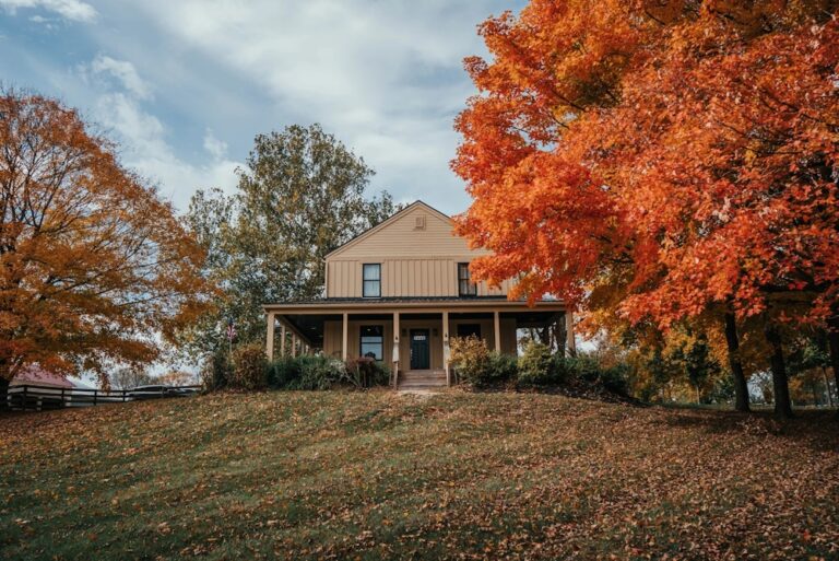 20240903North64Farms05 768x513