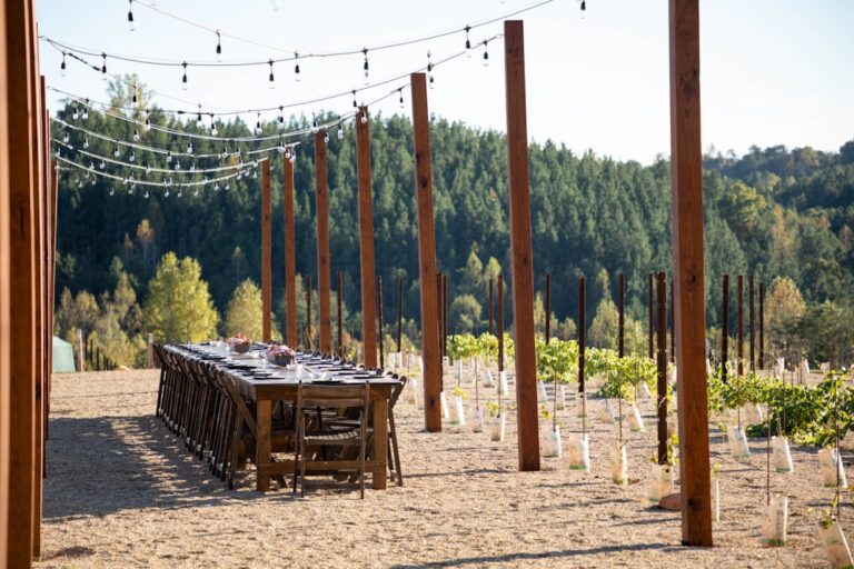 20240916MountainBrookVineyards02 768x512