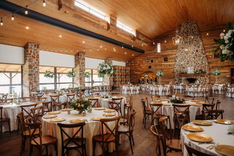 20240924VineThe01 2024 09 24 162744 wivv 768x512