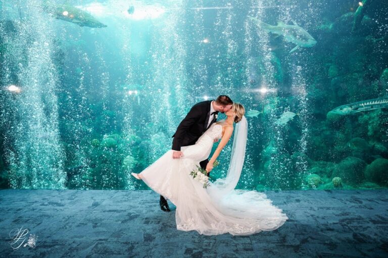 20240926FloridaAquariumThe03 768x512