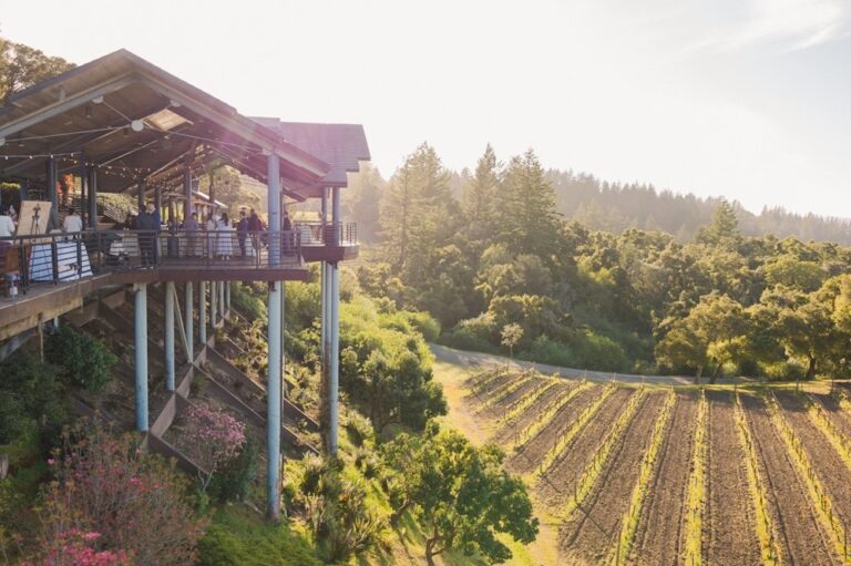 20240926ThomasFogartyWineryAndVineyards11 768x511