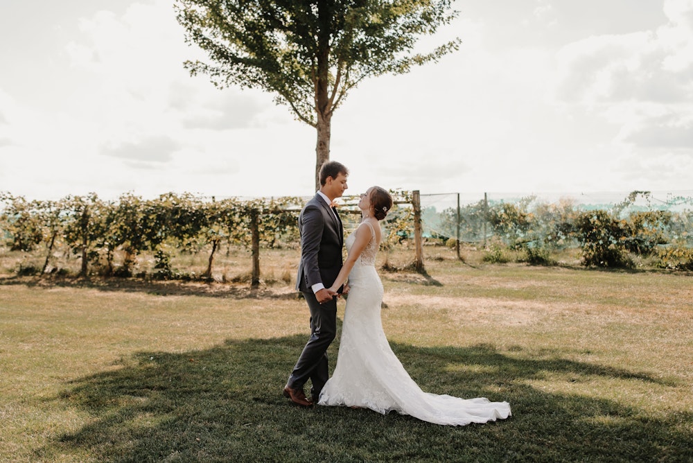 Mackinaw Valley Vineyard