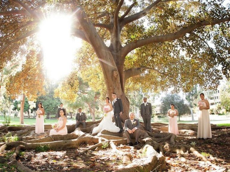 WD20181015 WedgewoodWeddingsUniversityClub 03 768x576