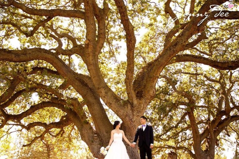 WD20181022 ClubhouseAtBoundaryOak 14 768x511