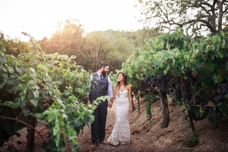 WD20181112 PachecoRanchWinery 10 768x512