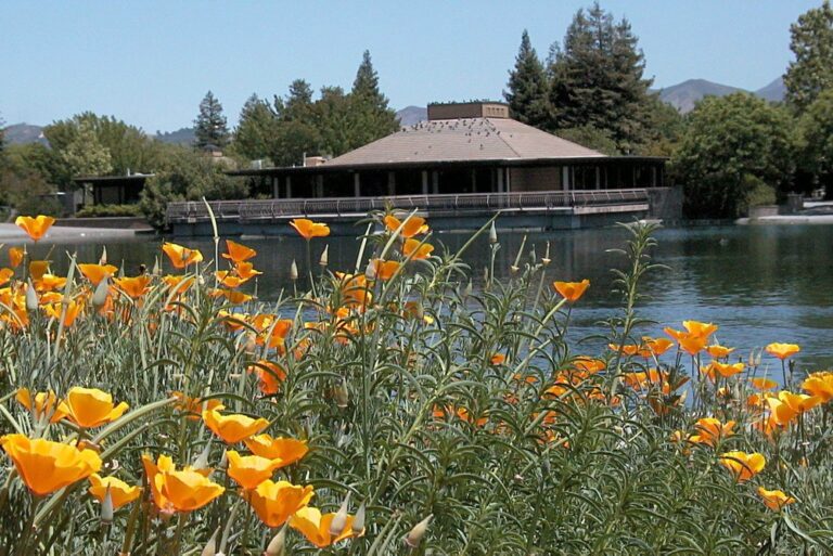 WD20181120 HeatherFarmCommunityCenter 01 768x513