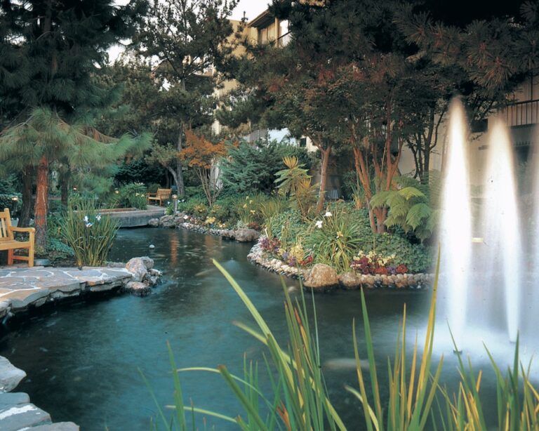 WD20181127 SheratonPaloAlto 02 768x614