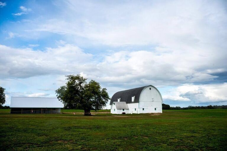 WD2018625 WhiteBarnVenue 3 768x512