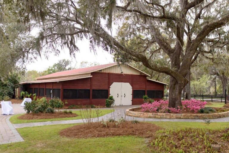 WD2018815 Laytns Land n 4 768x512