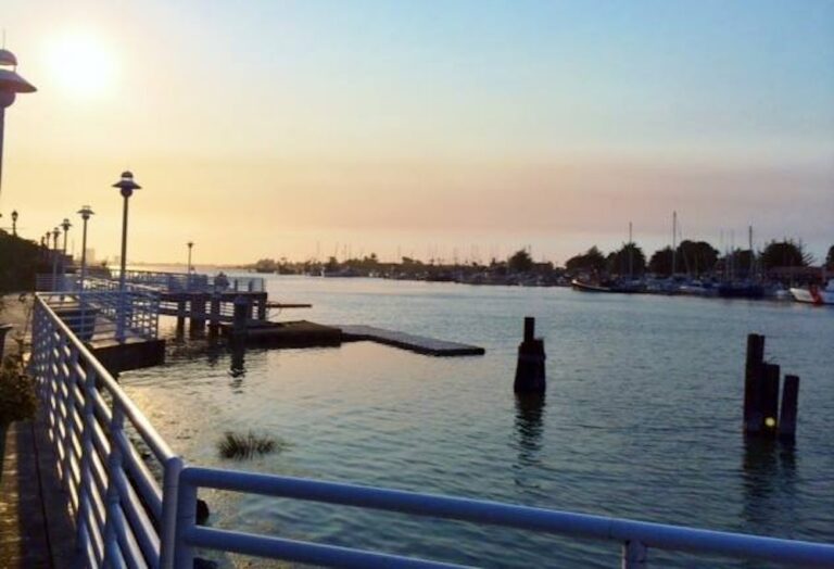 WD201887 AdorniCenter 01 768x524