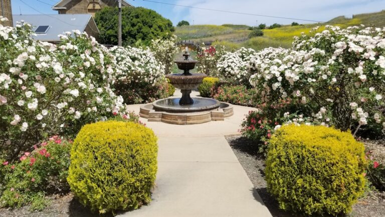 WD20190818 BeniciaHistoricalMuseum 12 768x432