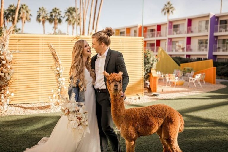 WD20190927 SaguaroPalmSprings 02 768x512