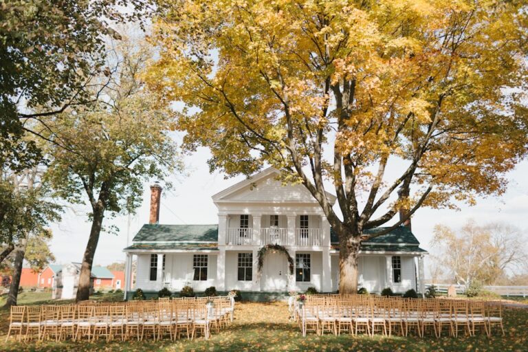 WD20200109 Zingermanscornmanfarms 02 768x512