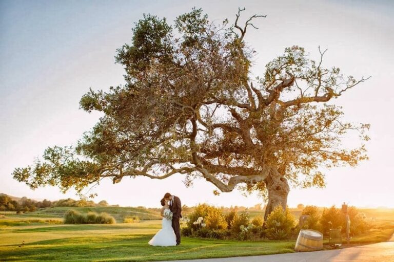 WD20200116 ChardonnayGolfClub 10 200116 202128 768x512