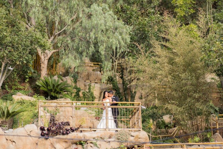 WD20200218 SevenDegrees 01 768x512