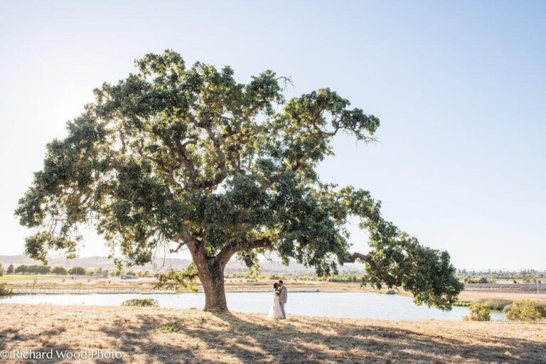 WD20200315 FairviewNapa 01 768x512