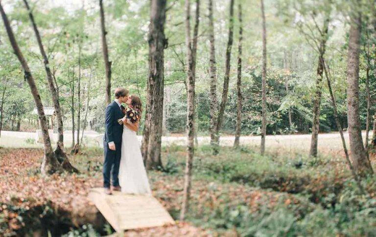 WD20200825ReelfootLakeStatePark02 768x485